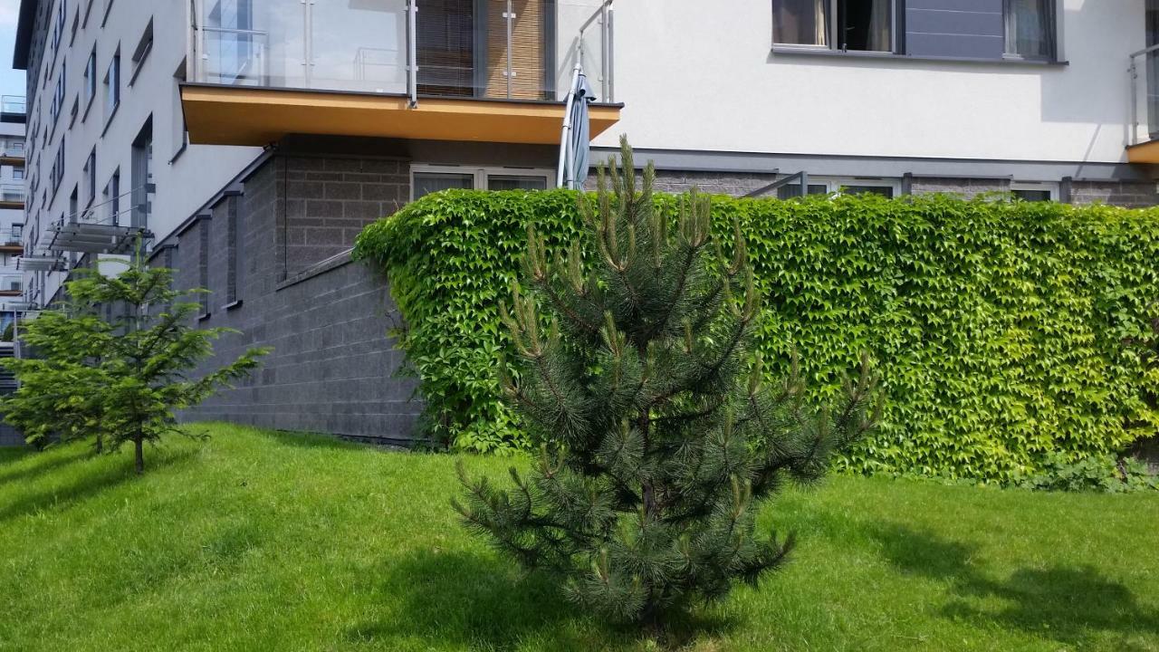 Apartment Franciszka Bohomolca 7 *